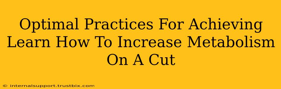 Optimal Practices For Achieving Learn How To Increase Metabolism On A Cut