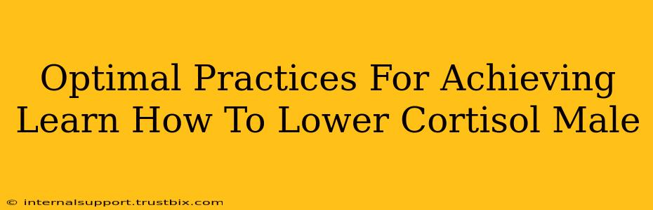 Optimal Practices For Achieving Learn How To Lower Cortisol Male