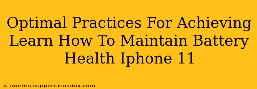 Optimal Practices For Achieving Learn How To Maintain Battery Health Iphone 11