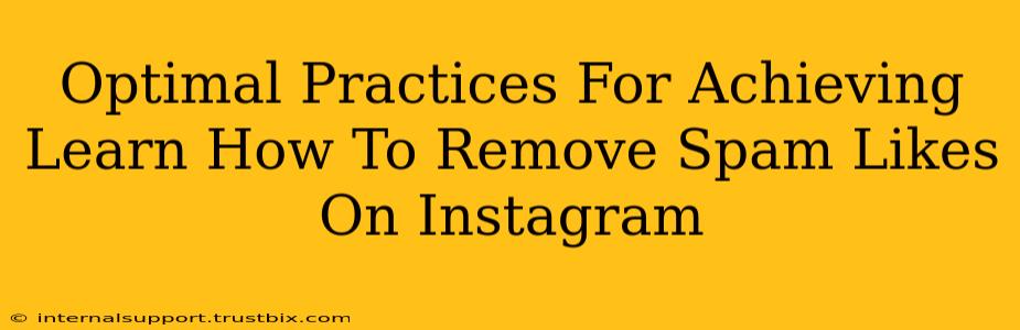 Optimal Practices For Achieving Learn How To Remove Spam Likes On Instagram