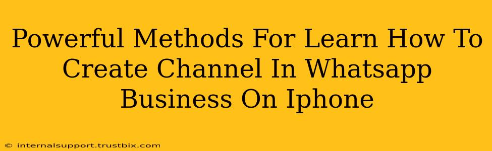 Powerful Methods For Learn How To Create Channel In Whatsapp Business On Iphone