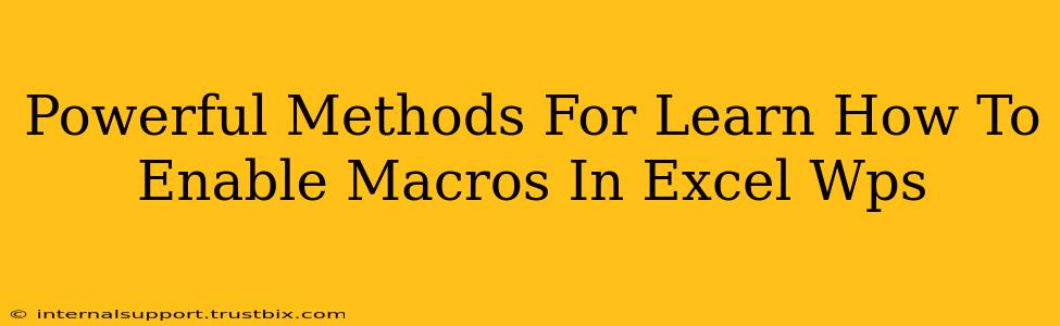 Powerful Methods For Learn How To Enable Macros In Excel Wps