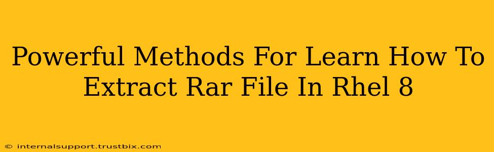 Powerful Methods For Learn How To Extract Rar File In Rhel 8