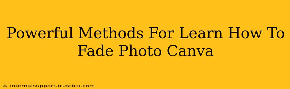 Powerful Methods For Learn How To Fade Photo Canva