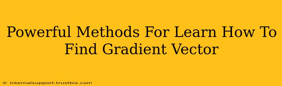 Powerful Methods For Learn How To Find Gradient Vector