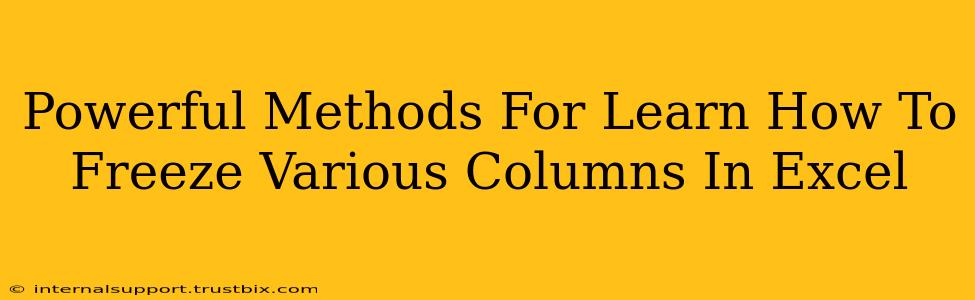 Powerful Methods For Learn How To Freeze Various Columns In Excel