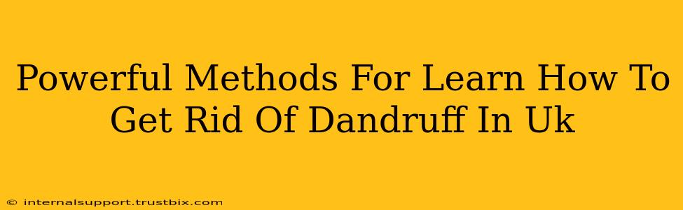 Powerful Methods For Learn How To Get Rid Of Dandruff In Uk