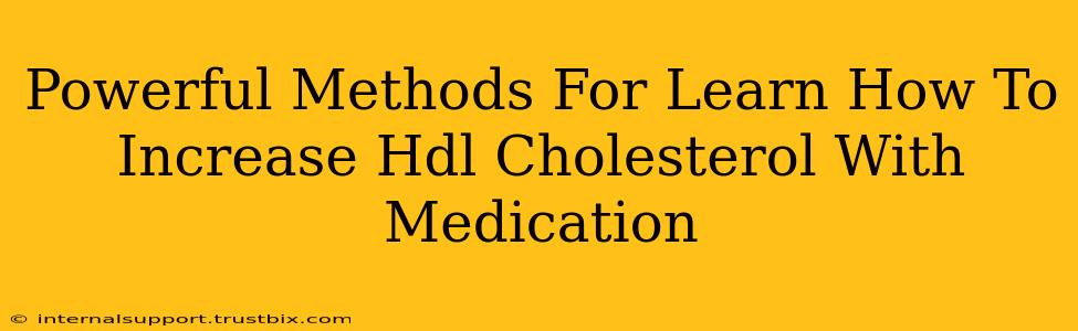 Powerful Methods For Learn How To Increase Hdl Cholesterol With Medication