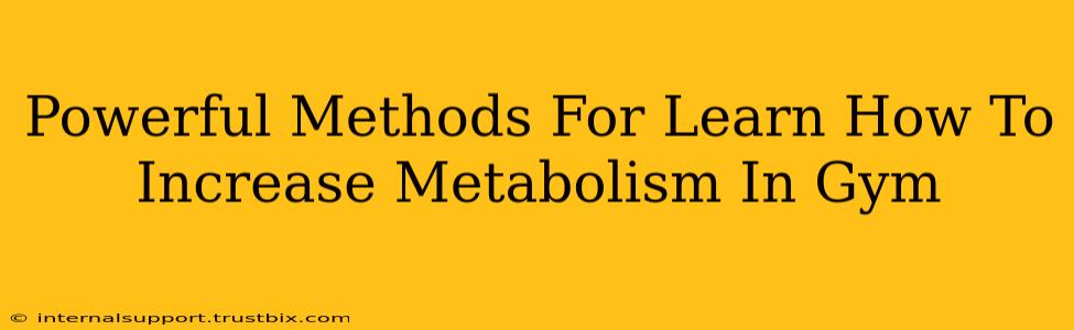 Powerful Methods For Learn How To Increase Metabolism In Gym