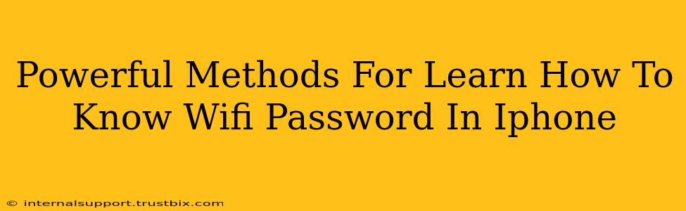 Powerful Methods For Learn How To Know Wifi Password In Iphone