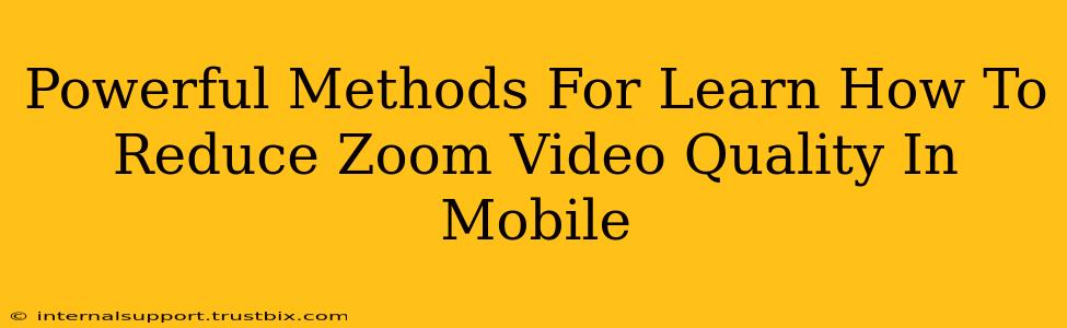 Powerful Methods For Learn How To Reduce Zoom Video Quality In Mobile