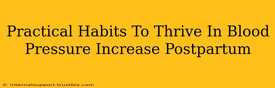 Practical Habits To Thrive In Blood Pressure Increase Postpartum