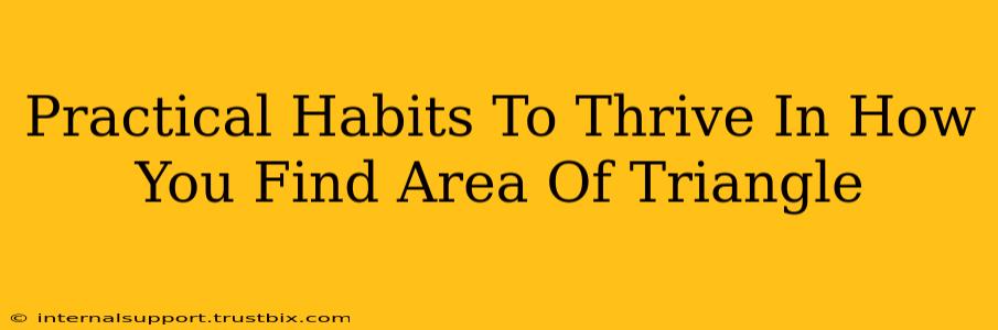 Practical Habits To Thrive In How You Find Area Of Triangle