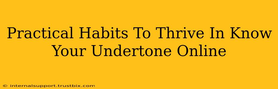 Practical Habits To Thrive In Know Your Undertone Online