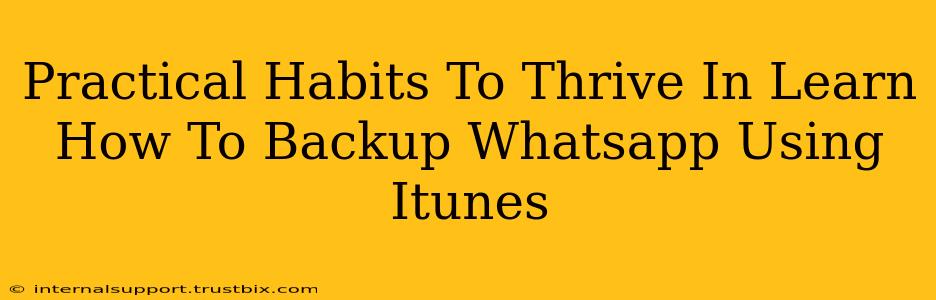 Practical Habits To Thrive In Learn How To Backup Whatsapp Using Itunes