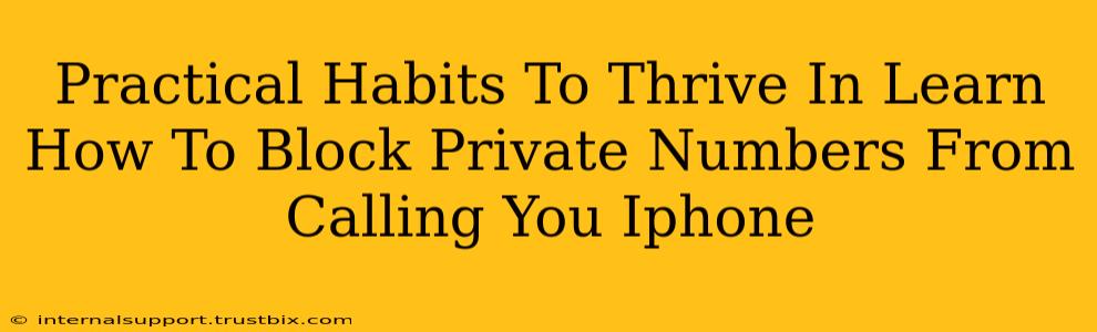 Practical Habits To Thrive In Learn How To Block Private Numbers From Calling You Iphone