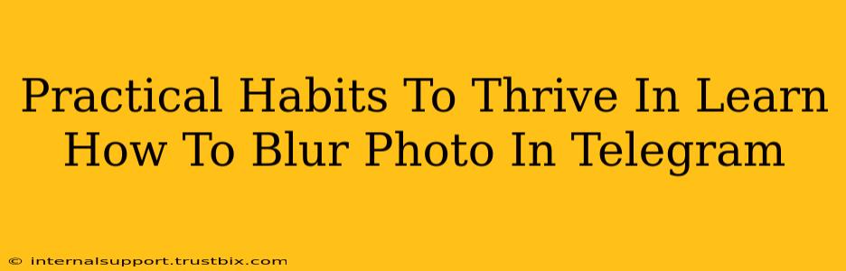 Practical Habits To Thrive In Learn How To Blur Photo In Telegram