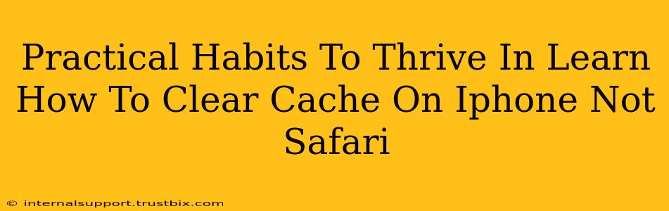 Practical Habits To Thrive In Learn How To Clear Cache On Iphone Not Safari