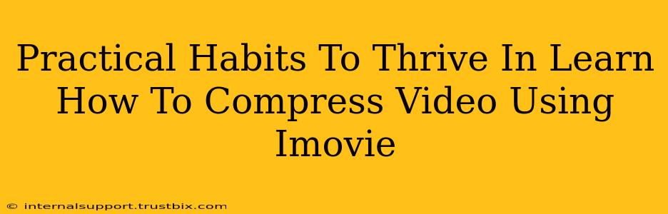 Practical Habits To Thrive In Learn How To Compress Video Using Imovie