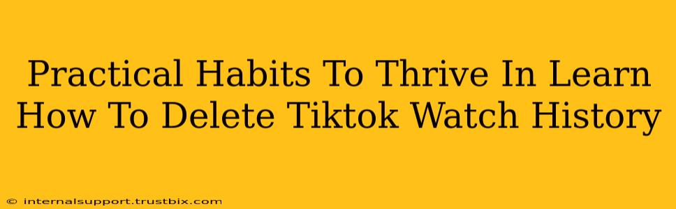 Practical Habits To Thrive In Learn How To Delete Tiktok Watch History