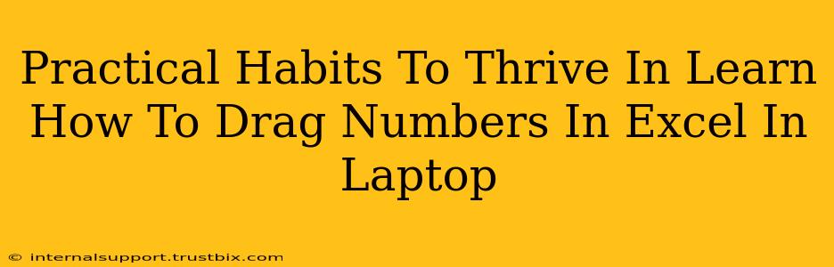 Practical Habits To Thrive In Learn How To Drag Numbers In Excel In Laptop