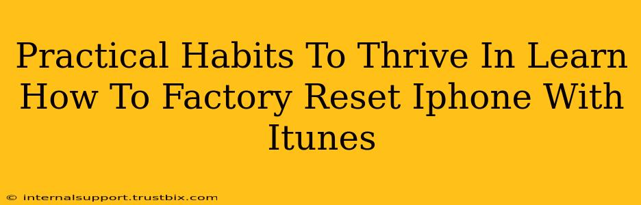 Practical Habits To Thrive In Learn How To Factory Reset Iphone With Itunes