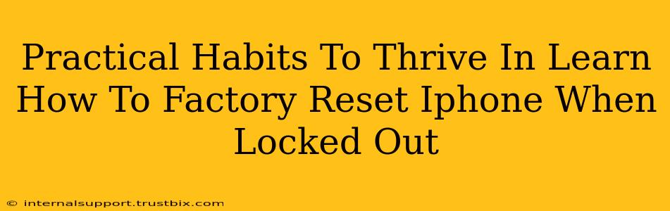 Practical Habits To Thrive In Learn How To Factory Reset Iphone When Locked Out