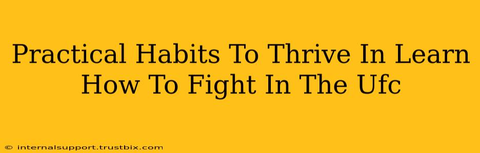 Practical Habits To Thrive In Learn How To Fight In The Ufc