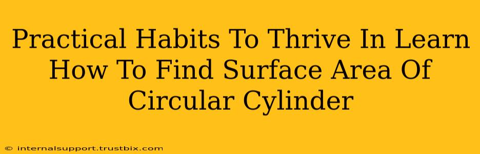 Practical Habits To Thrive In Learn How To Find Surface Area Of Circular Cylinder