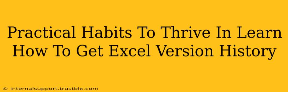 Practical Habits To Thrive In Learn How To Get Excel Version History