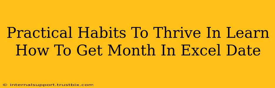 Practical Habits To Thrive In Learn How To Get Month In Excel Date