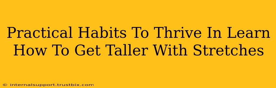 Practical Habits To Thrive In Learn How To Get Taller With Stretches