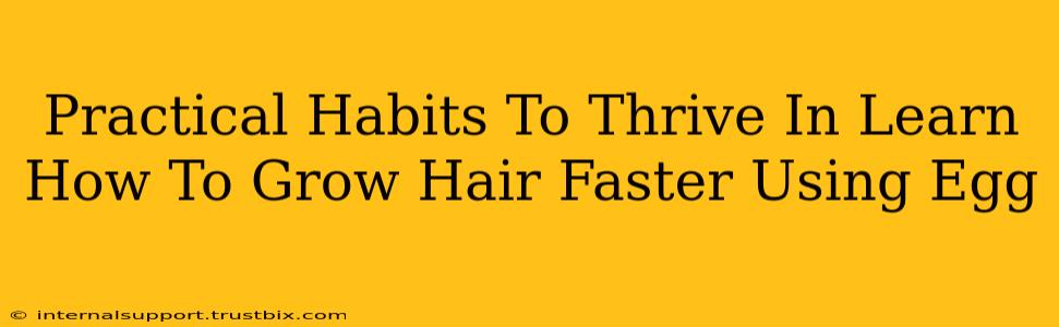 Practical Habits To Thrive In Learn How To Grow Hair Faster Using Egg