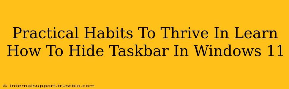 Practical Habits To Thrive In Learn How To Hide Taskbar In Windows 11