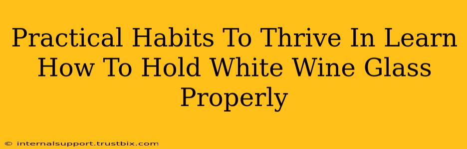 Practical Habits To Thrive In Learn How To Hold White Wine Glass Properly