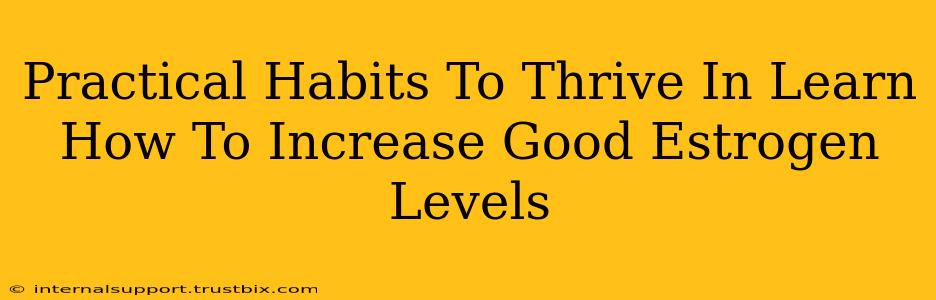 Practical Habits To Thrive In Learn How To Increase Good Estrogen Levels