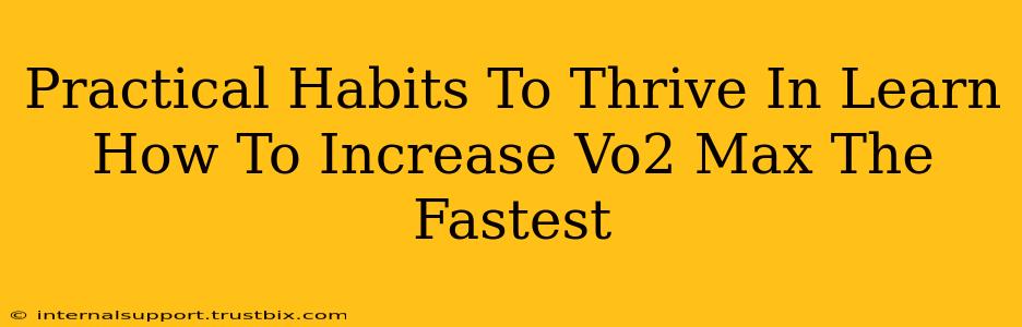 Practical Habits To Thrive In Learn How To Increase Vo2 Max The Fastest