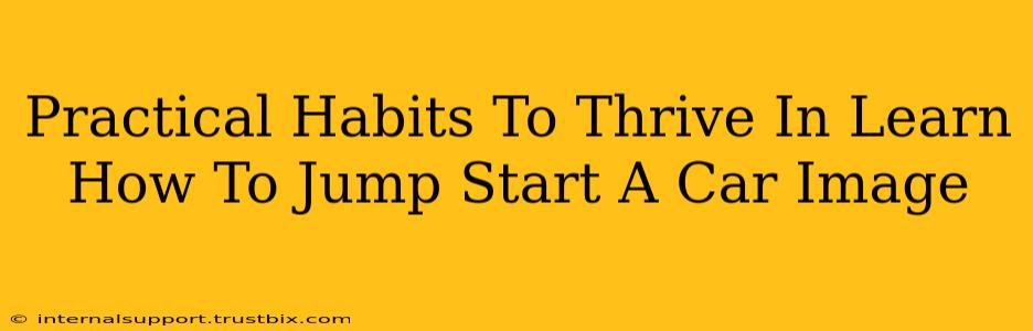 Practical Habits To Thrive In Learn How To Jump Start A Car Image