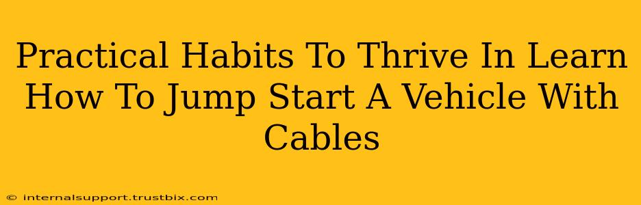 Practical Habits To Thrive In Learn How To Jump Start A Vehicle With Cables