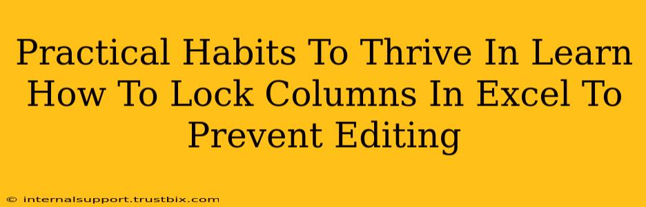 Practical Habits To Thrive In Learn How To Lock Columns In Excel To Prevent Editing