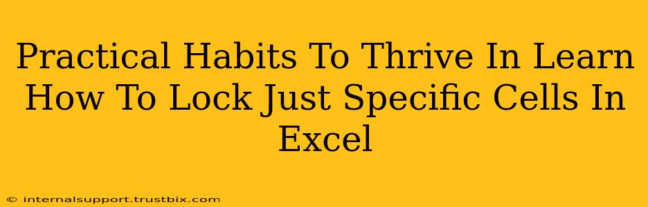 Practical Habits To Thrive In Learn How To Lock Just Specific Cells In Excel