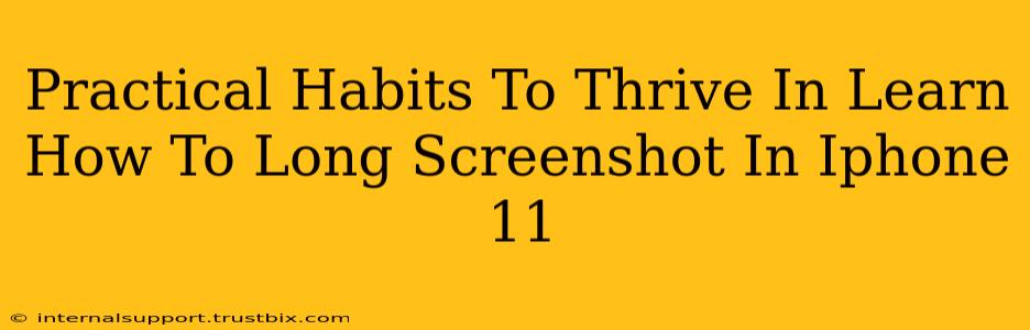 Practical Habits To Thrive In Learn How To Long Screenshot In Iphone 11