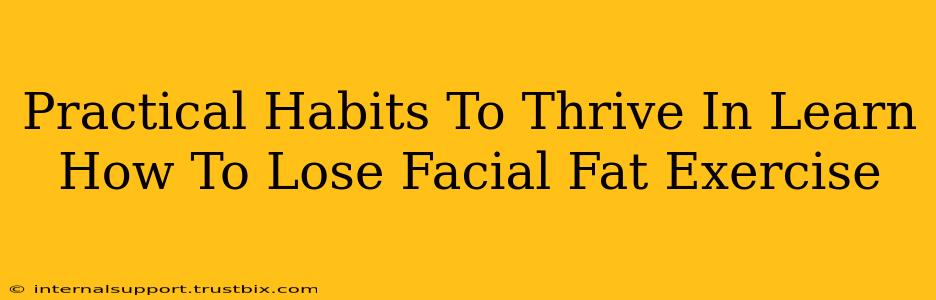 Practical Habits To Thrive In Learn How To Lose Facial Fat Exercise