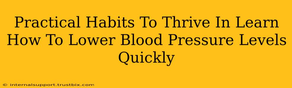 Practical Habits To Thrive In Learn How To Lower Blood Pressure Levels Quickly