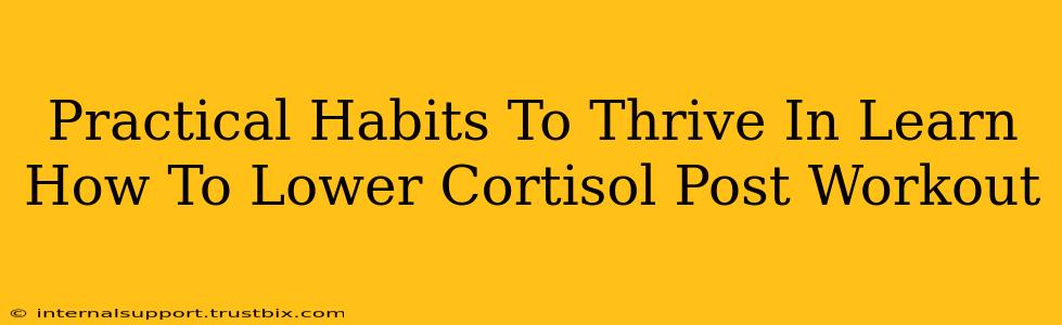 Practical Habits To Thrive In Learn How To Lower Cortisol Post Workout