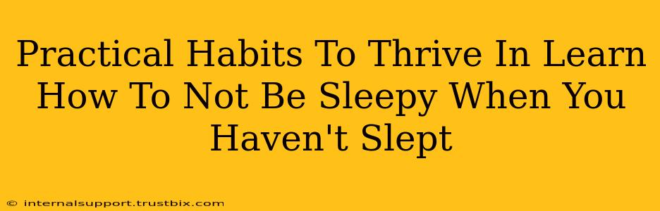 Practical Habits To Thrive In Learn How To Not Be Sleepy When You Haven't Slept