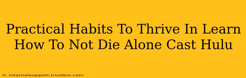 Practical Habits To Thrive In Learn How To Not Die Alone Cast Hulu