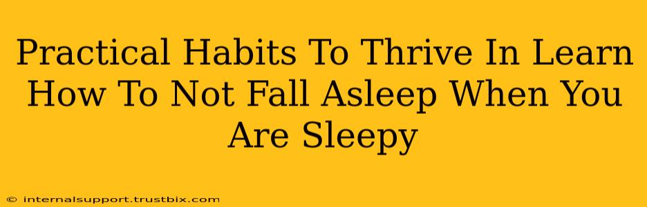 Practical Habits To Thrive In Learn How To Not Fall Asleep When You Are Sleepy