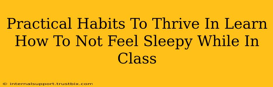 Practical Habits To Thrive In Learn How To Not Feel Sleepy While In Class