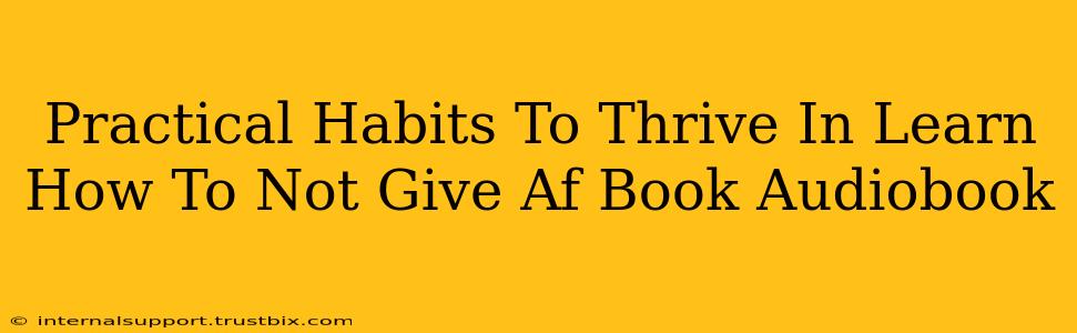 Practical Habits To Thrive In Learn How To Not Give Af Book Audiobook